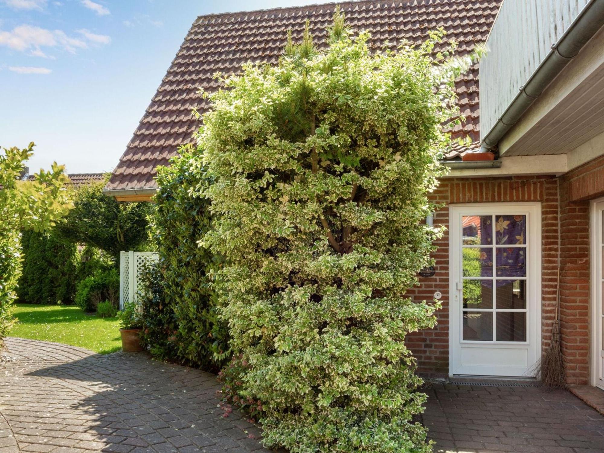 Enticing Holiday Home In Oldenburg With Garden Near Sea Dannau Exteriör bild